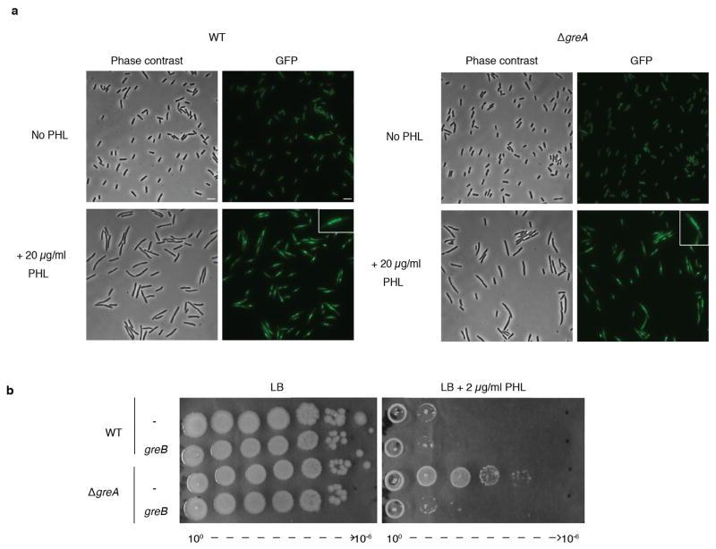 https://cdn.ncbi.nlm.nih.gov/pmc/blobs/27ef/5654330/eca30510f73c/nihms898456f7.jpg