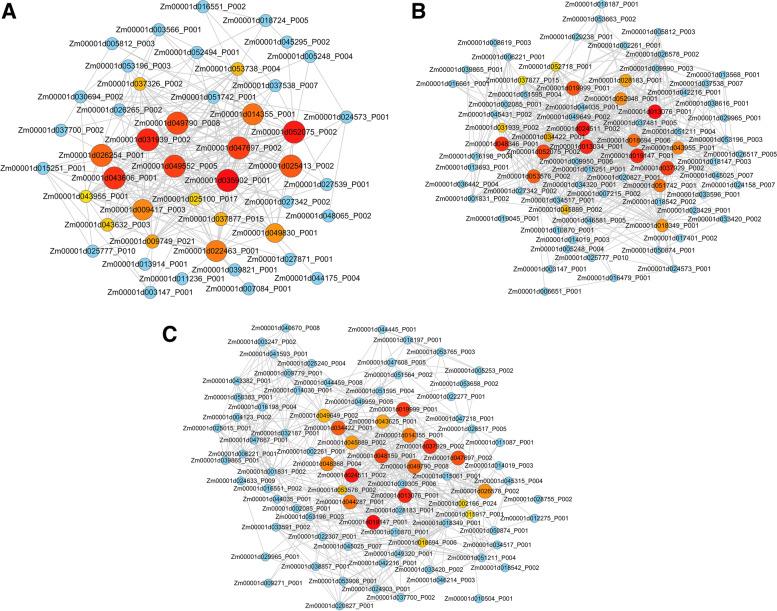https://cdn.ncbi.nlm.nih.gov/pmc/blobs/27ef/8898408/6913533bfc19/12864_2022_8394_Fig6_HTML.jpg