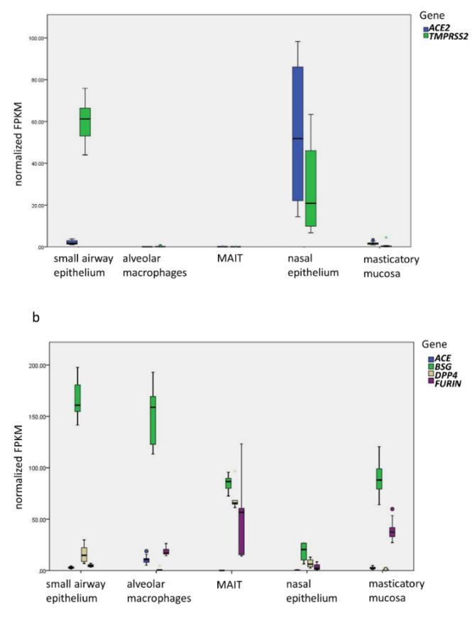 https://cdn.ncbi.nlm.nih.gov/pmc/blobs/27f0/7589079/ca5af6c63144/viruses-12-01174-g001.jpg