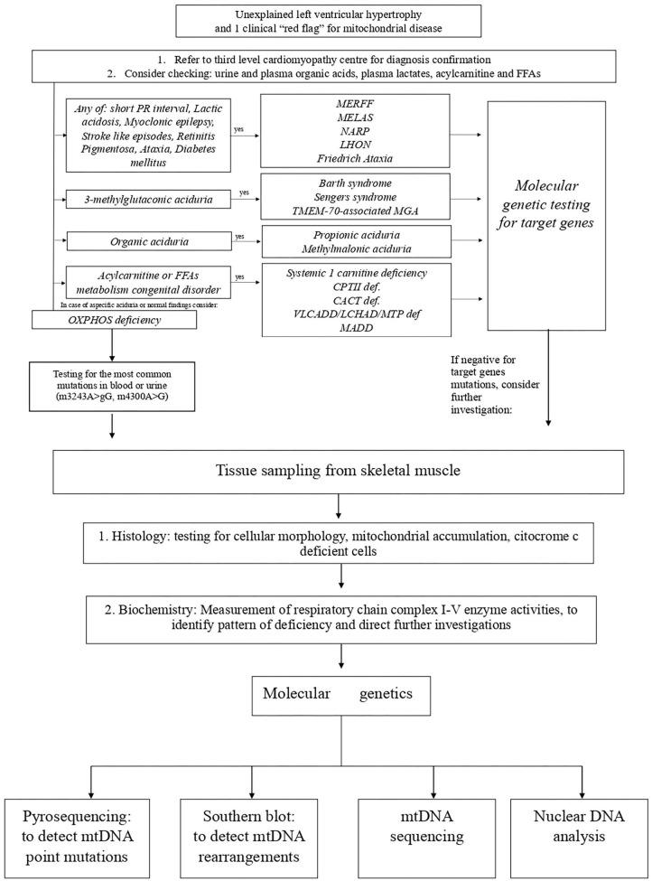 https://cdn.ncbi.nlm.nih.gov/pmc/blobs/27f0/7947260/6fc45a51f7d3/fped-09-632293-g0005.jpg