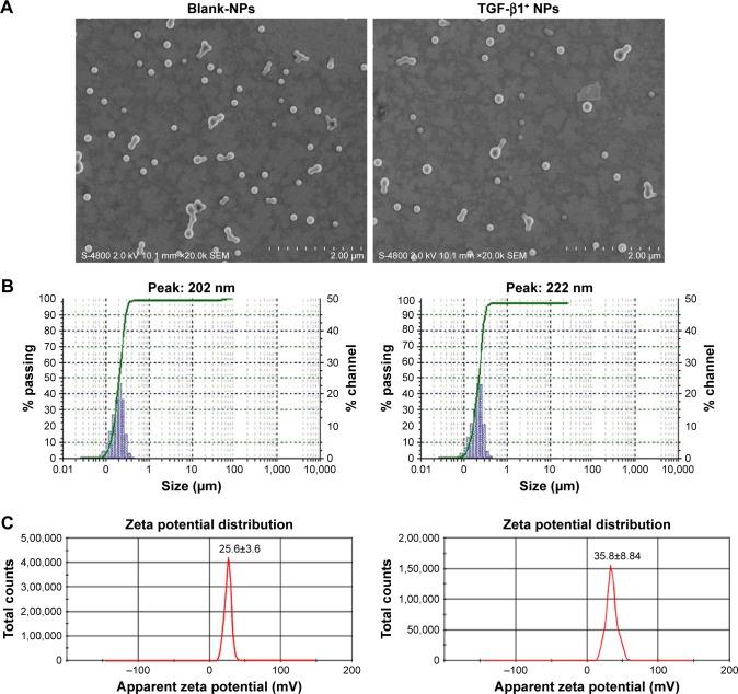 https://cdn.ncbi.nlm.nih.gov/pmc/blobs/27f1/6027825/12c551821cf7/ijn-13-3731Fig1.jpg
