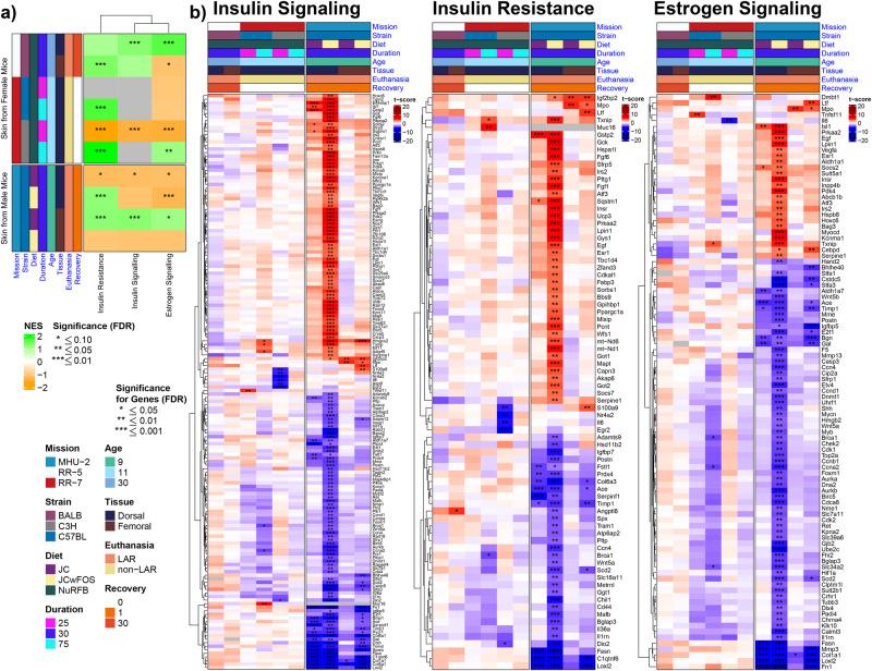https://cdn.ncbi.nlm.nih.gov/pmc/blobs/27f4/11166981/1b17ae484a4a/42003_2023_5213_Fig6_HTML.jpg