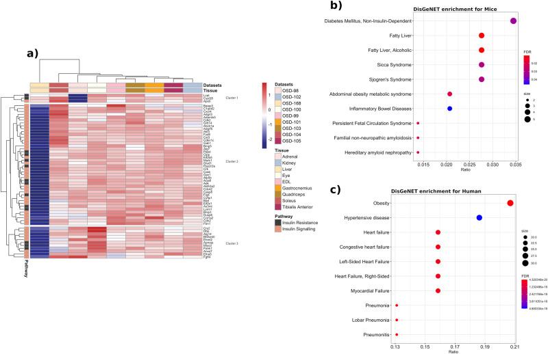 https://cdn.ncbi.nlm.nih.gov/pmc/blobs/27f4/11166981/738759bcc6c1/42003_2023_5213_Fig2_HTML.jpg