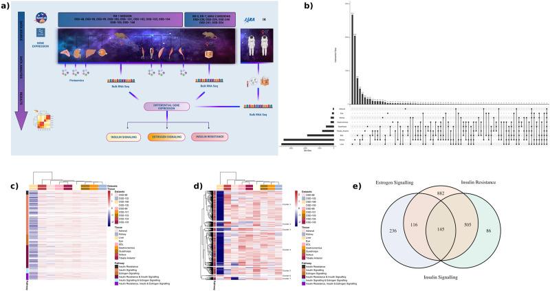 https://cdn.ncbi.nlm.nih.gov/pmc/blobs/27f4/11166981/9e33a3fb1e48/42003_2023_5213_Fig1_HTML.jpg