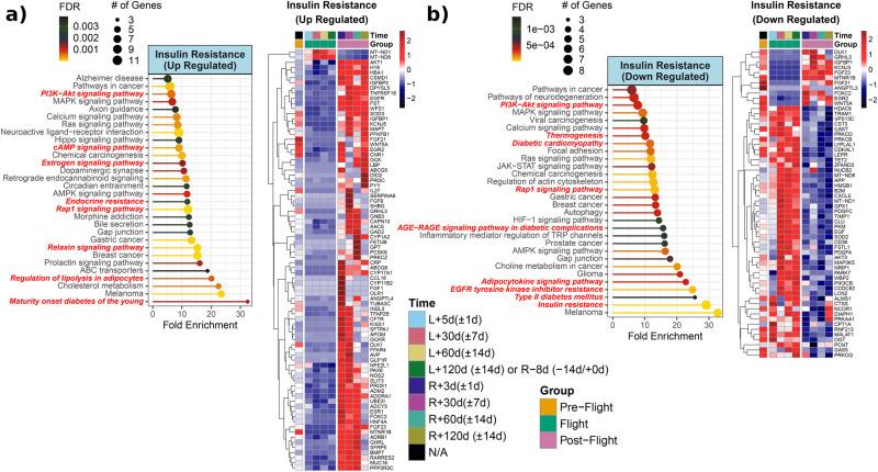 https://cdn.ncbi.nlm.nih.gov/pmc/blobs/27f4/11166981/bb7b88ecceb0/42003_2023_5213_Fig8_HTML.jpg