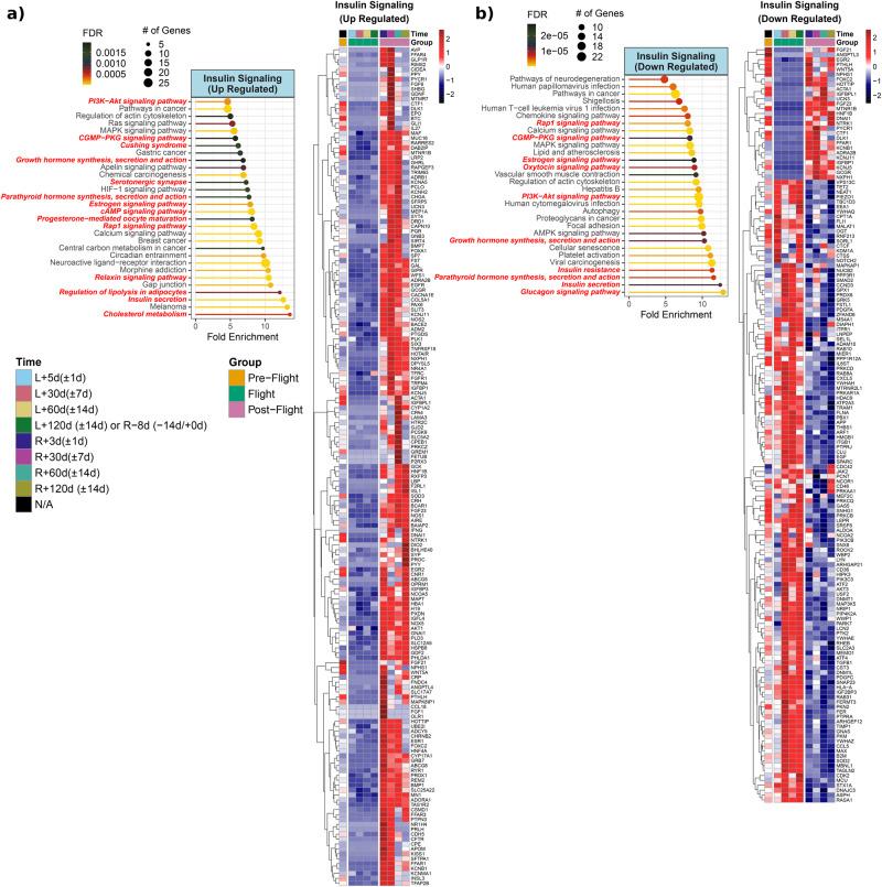 https://cdn.ncbi.nlm.nih.gov/pmc/blobs/27f4/11166981/be1505353056/42003_2023_5213_Fig7_HTML.jpg