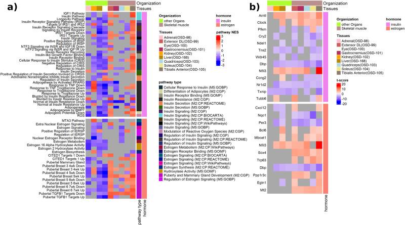 https://cdn.ncbi.nlm.nih.gov/pmc/blobs/27f4/11166981/dfdf30e48401/42003_2023_5213_Fig3_HTML.jpg