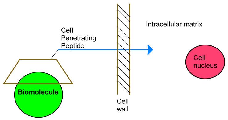 https://cdn.ncbi.nlm.nih.gov/pmc/blobs/27f5/8198514/65aa5e1b225d/polymers-13-01759-g005.jpg