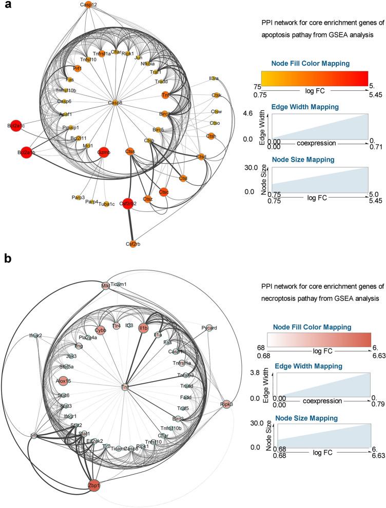https://cdn.ncbi.nlm.nih.gov/pmc/blobs/27f6/11421749/afc3f2eeb01d/10571_2021_1063_Fig2_HTML.jpg