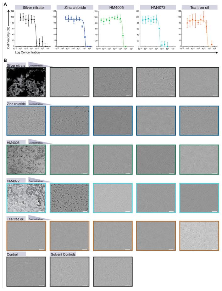 https://cdn.ncbi.nlm.nih.gov/pmc/blobs/27f9/10817529/87fd251a5722/materials-17-00383-g002.jpg