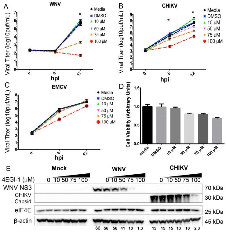 https://cdn.ncbi.nlm.nih.gov/pmc/blobs/27f9/5086619/b547dcbb07d3/viruses-08-00287-g007.jpg