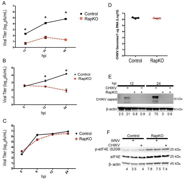 https://cdn.ncbi.nlm.nih.gov/pmc/blobs/27f9/5086619/e369e022cc59/viruses-08-00287-g002.jpg