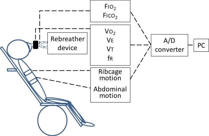 https://cdn.ncbi.nlm.nih.gov/pmc/blobs/27fb/5851354/6ff5fe3fe40e/jpts-30-238-g001.jpg