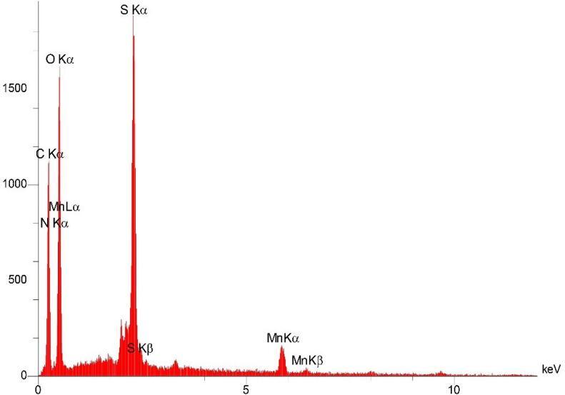 https://cdn.ncbi.nlm.nih.gov/pmc/blobs/27fc/12319212/ab6785c785b9/bi-15-30848-g005.jpg