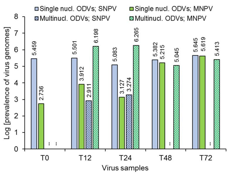 https://cdn.ncbi.nlm.nih.gov/pmc/blobs/27fc/9025457/a3bc78c50cbd/viruses-14-00687-g004.jpg