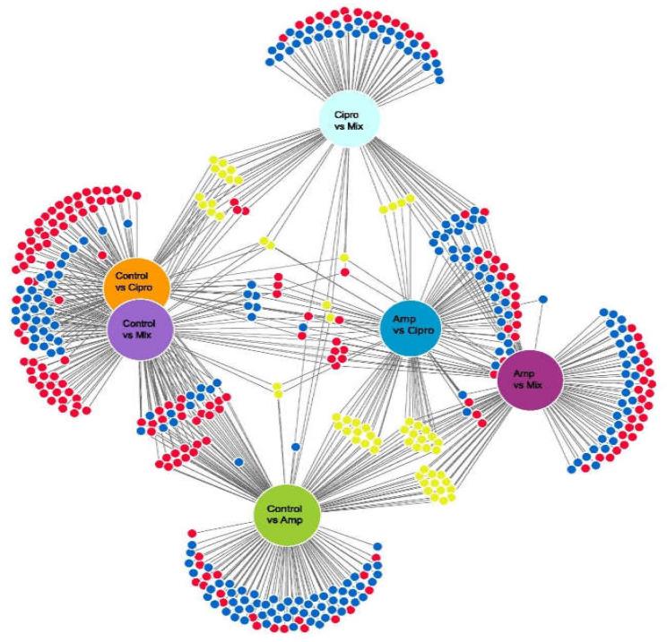 https://cdn.ncbi.nlm.nih.gov/pmc/blobs/27fc/9225190/2df821d5a79e/jof-08-00625-g005.jpg