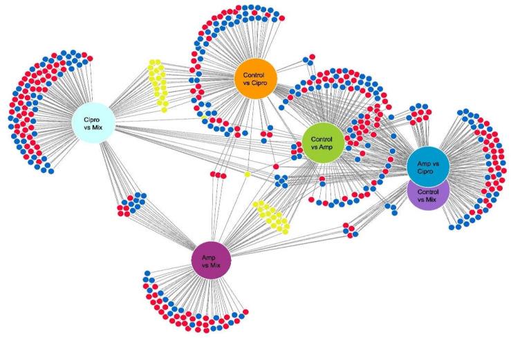 https://cdn.ncbi.nlm.nih.gov/pmc/blobs/27fc/9225190/8d28715e7cc4/jof-08-00625-g003.jpg