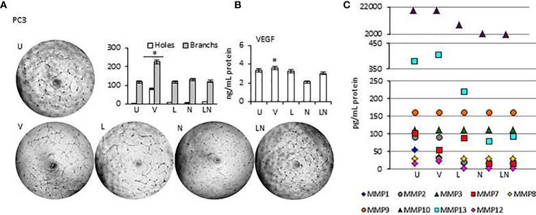 https://cdn.ncbi.nlm.nih.gov/pmc/blobs/27fe/7887322/cfcfe5142545/fimmu-11-607881-g007.jpg