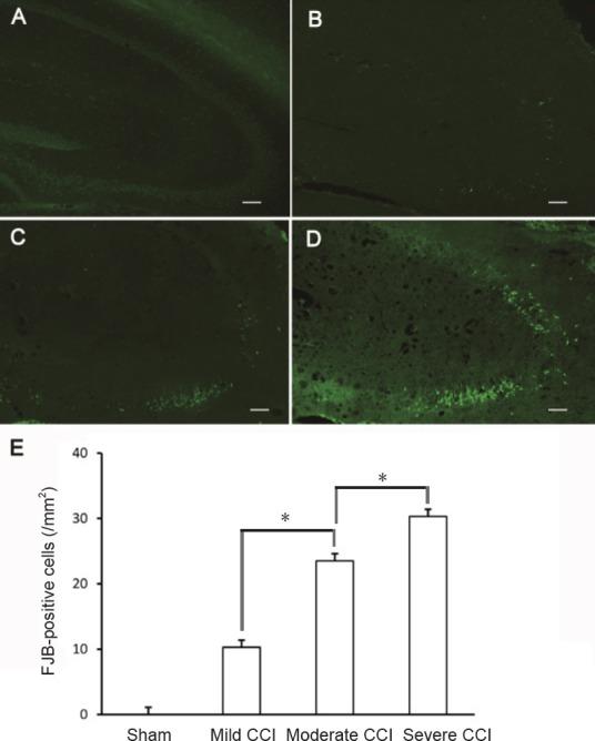 https://cdn.ncbi.nlm.nih.gov/pmc/blobs/2800/6404507/1a0e055883d6/NRR-14-997-g003.jpg