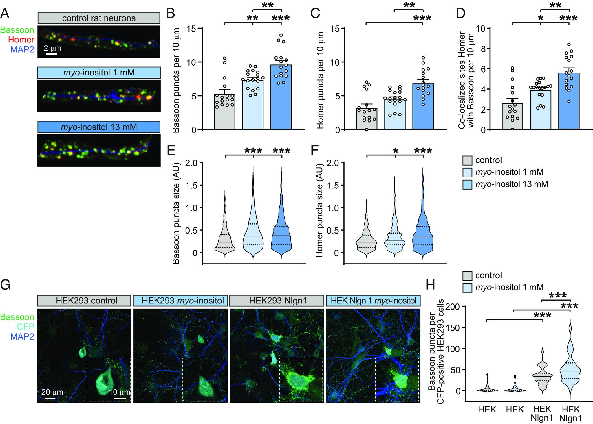 https://cdn.ncbi.nlm.nih.gov/pmc/blobs/2801/10374161/0a79499a4cce/pnas.2221413120fig02.jpg
