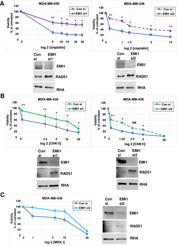 https://cdn.ncbi.nlm.nih.gov/pmc/blobs/2802/7790533/0b91c83b1cb8/pone.0235025.g002.jpg