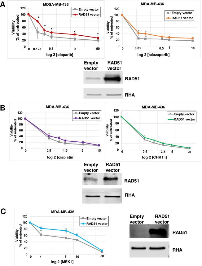 https://cdn.ncbi.nlm.nih.gov/pmc/blobs/2802/7790533/21cf9c7b25bb/pone.0235025.g004.jpg