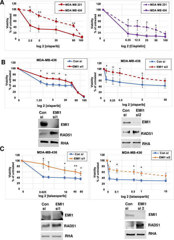 https://cdn.ncbi.nlm.nih.gov/pmc/blobs/2802/7790533/db3d5ebe96e4/pone.0235025.g001.jpg