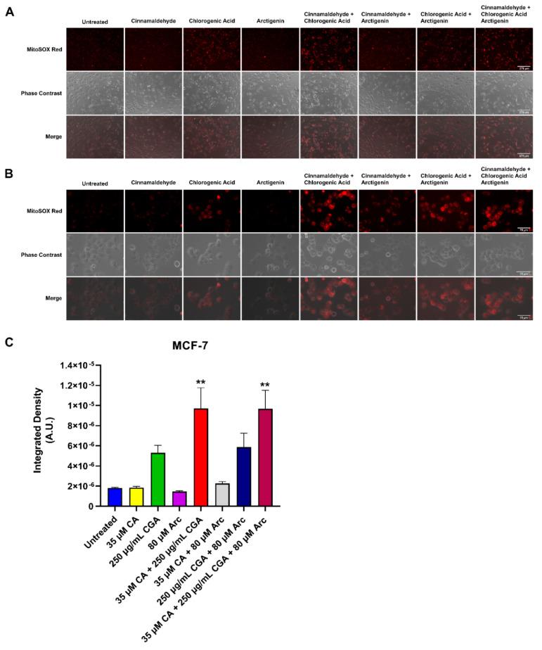 https://cdn.ncbi.nlm.nih.gov/pmc/blobs/2803/8945099/4a9382321882/antioxidants-11-00591-g010.jpg