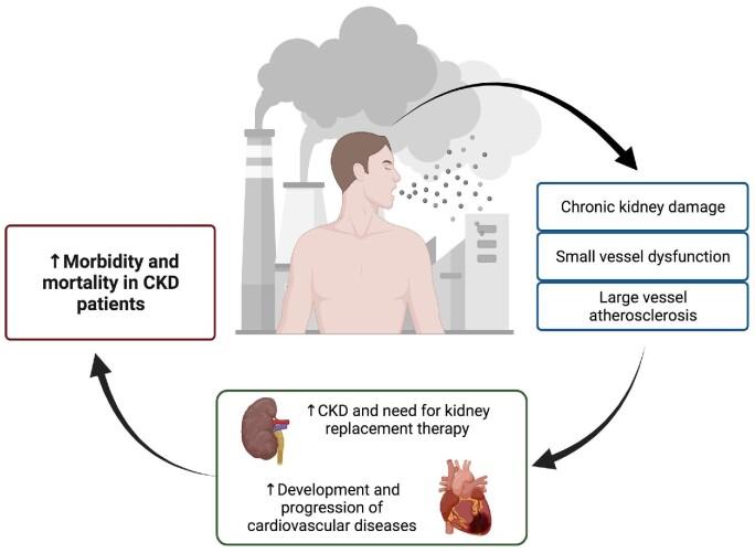 https://cdn.ncbi.nlm.nih.gov/pmc/blobs/2803/9494525/d9e73cf1da39/sfac101fig1.jpg