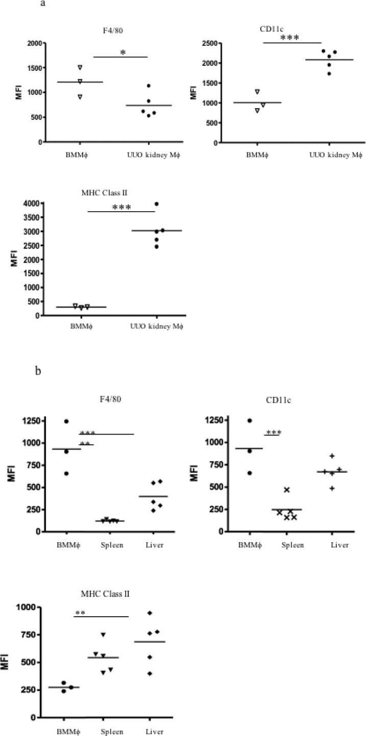https://cdn.ncbi.nlm.nih.gov/pmc/blobs/2804/6401212/451365054dc7/gr7.jpg