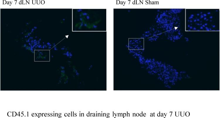 https://cdn.ncbi.nlm.nih.gov/pmc/blobs/2804/6401212/474732a320a5/gr8.jpg