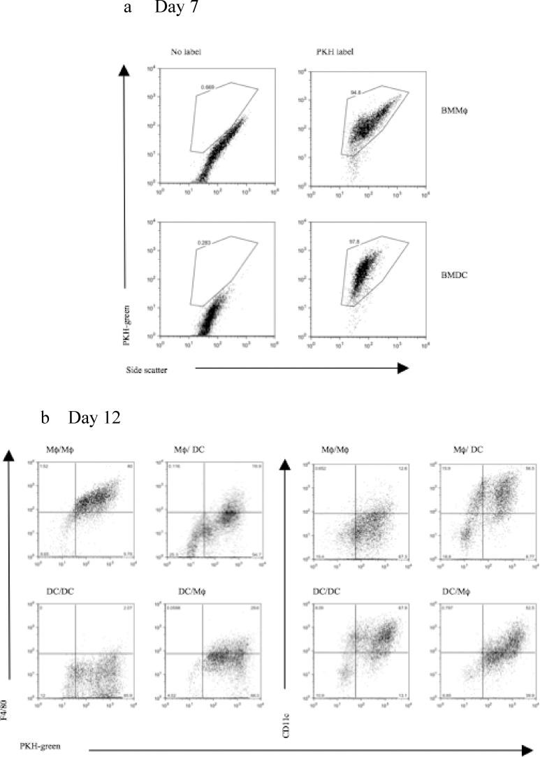https://cdn.ncbi.nlm.nih.gov/pmc/blobs/2804/6401212/5df8ed54cb35/gr3.jpg