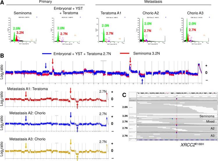 https://cdn.ncbi.nlm.nih.gov/pmc/blobs/2808/6417677/92cefce44a9e/pone.0213815.g004.jpg