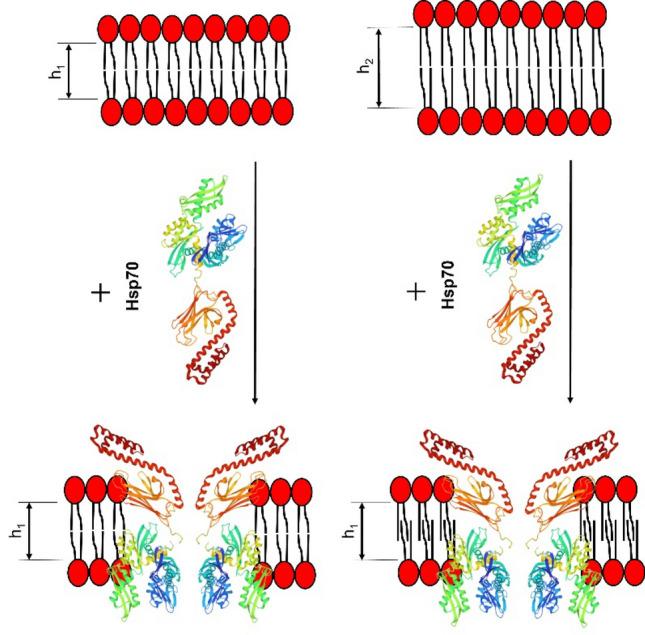 https://cdn.ncbi.nlm.nih.gov/pmc/blobs/280b/10628215/0c0d70063b3d/41598_2023_46131_Fig7_HTML.jpg