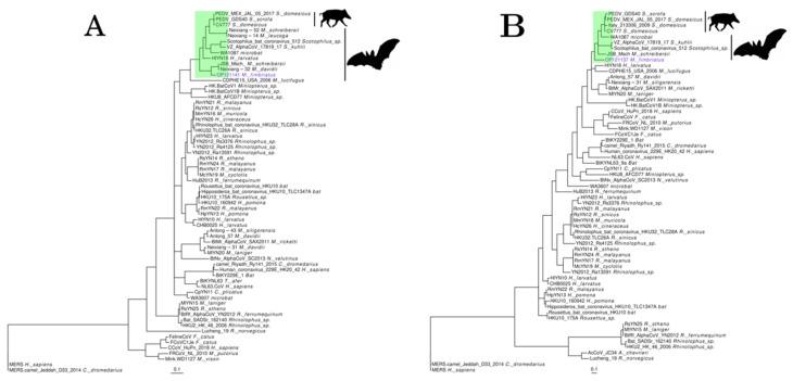 https://cdn.ncbi.nlm.nih.gov/pmc/blobs/280b/9505981/575138b76d34/viruses-14-01899-g002.jpg