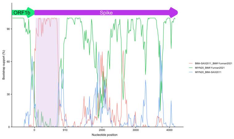 https://cdn.ncbi.nlm.nih.gov/pmc/blobs/280b/9505981/6bad5959fd96/viruses-14-01899-g008.jpg