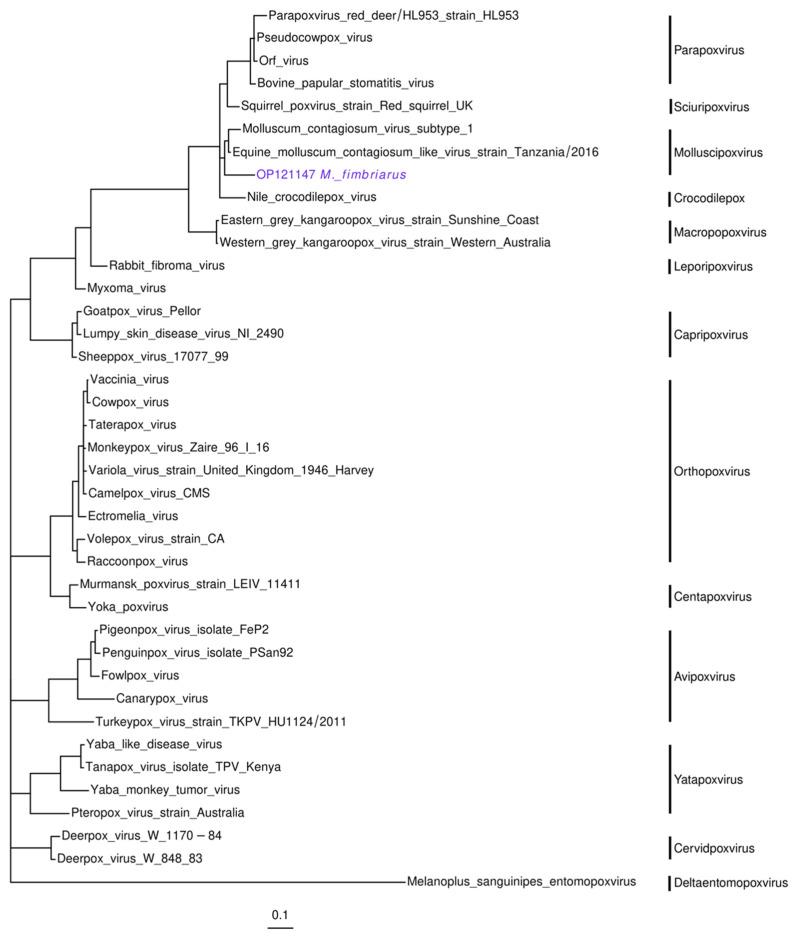 https://cdn.ncbi.nlm.nih.gov/pmc/blobs/280b/9505981/dde3e663f134/viruses-14-01899-g006.jpg