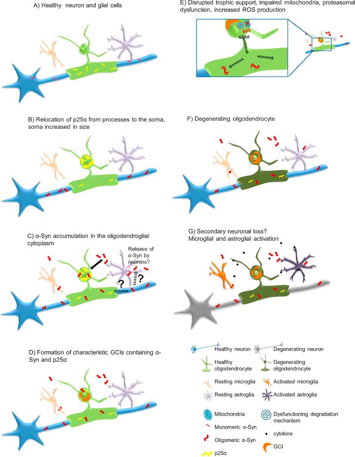 https://cdn.ncbi.nlm.nih.gov/pmc/blobs/280c/4068324/abdcaf471155/gr2.jpg