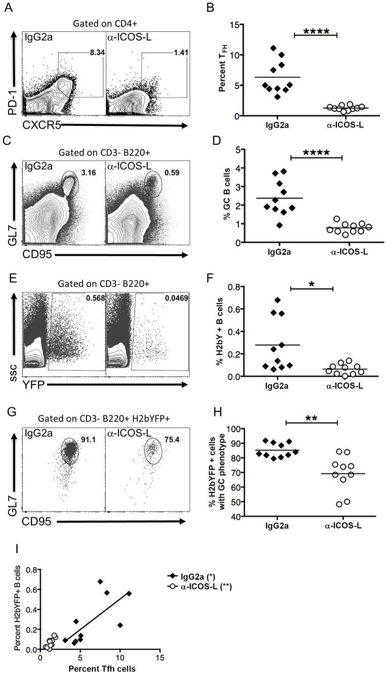 https://cdn.ncbi.nlm.nih.gov/pmc/blobs/280d/4006913/e0e930e36ff3/ppat.1004106.g006.jpg