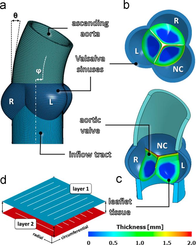 https://cdn.ncbi.nlm.nih.gov/pmc/blobs/280f/5038160/b2c07e6c6cde/gr1.jpg