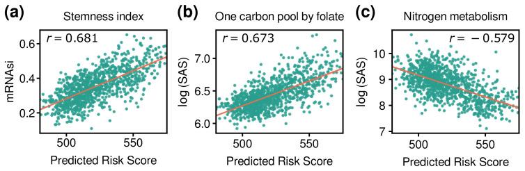 https://cdn.ncbi.nlm.nih.gov/pmc/blobs/2810/9454699/ed123c179d13/cancers-14-04120-g007.jpg