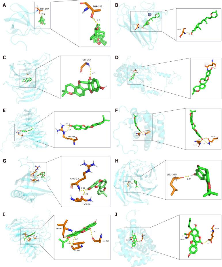 https://cdn.ncbi.nlm.nih.gov/pmc/blobs/2811/12404096/a5aaef2c8cd3/wjg-31-30-109187-g006.jpg