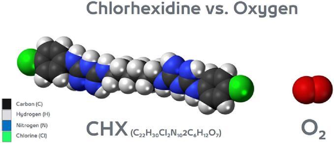 https://cdn.ncbi.nlm.nih.gov/pmc/blobs/2812/11178966/2d7bcbedd52a/gr2.jpg