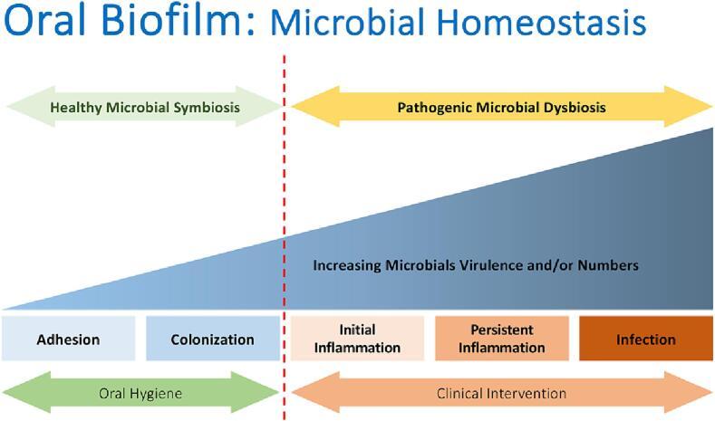 https://cdn.ncbi.nlm.nih.gov/pmc/blobs/2812/11178966/e1fa91d0f535/gr4.jpg