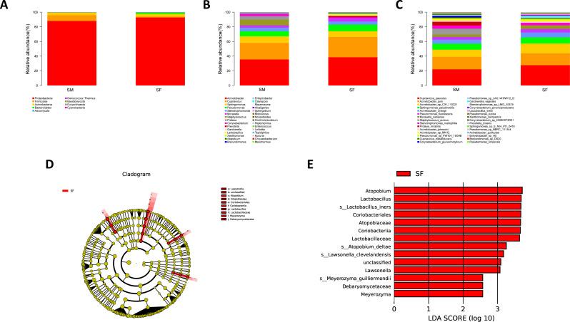 https://cdn.ncbi.nlm.nih.gov/pmc/blobs/2812/11539328/b329afbfc5bf/12866_2024_3618_Fig1_HTML.jpg
