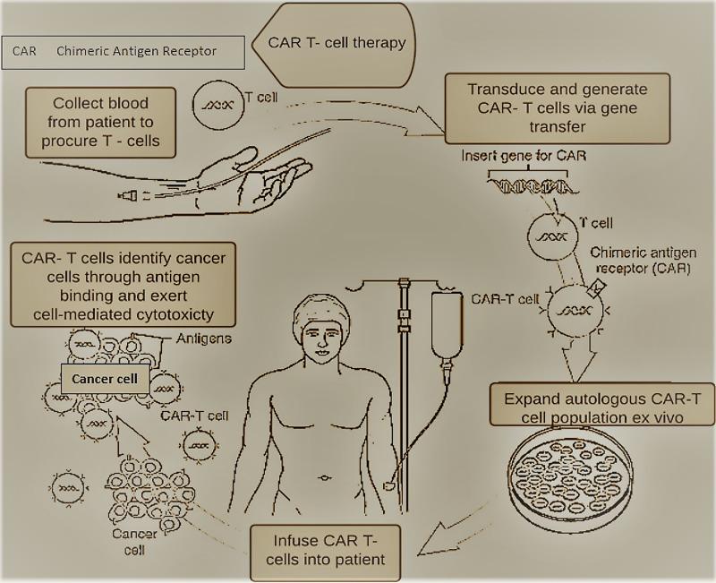 https://cdn.ncbi.nlm.nih.gov/pmc/blobs/2812/8007123/2e06ca38d4d8/cureus-0013-00000013552-i03.jpg