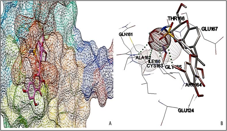 https://cdn.ncbi.nlm.nih.gov/pmc/blobs/2814/10756988/2811252ef59a/gr11.jpg