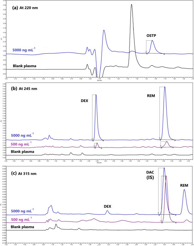 https://cdn.ncbi.nlm.nih.gov/pmc/blobs/2816/11411088/a0544004aa29/41598_2024_71413_Fig5_HTML.jpg