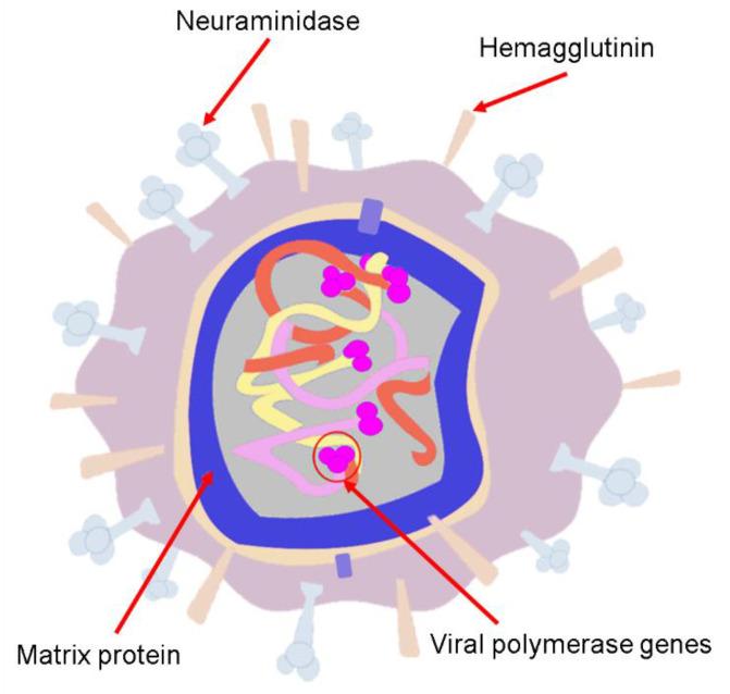 https://cdn.ncbi.nlm.nih.gov/pmc/blobs/2817/7997427/01fdbc008b66/biosensors-11-00066-g006.jpg