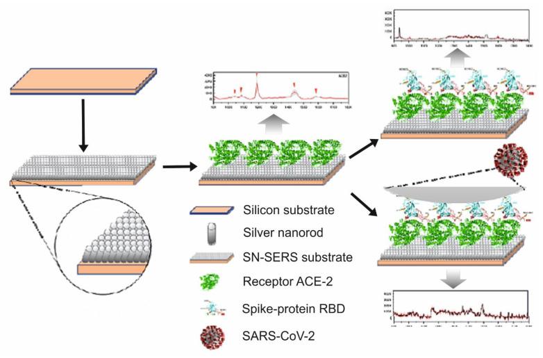 https://cdn.ncbi.nlm.nih.gov/pmc/blobs/2817/7997427/0c797dcabef9/biosensors-11-00066-g015.jpg